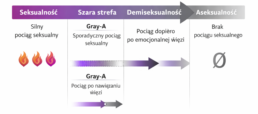 Spektrum aseksualności – różne poziomy pociągu seksualnego